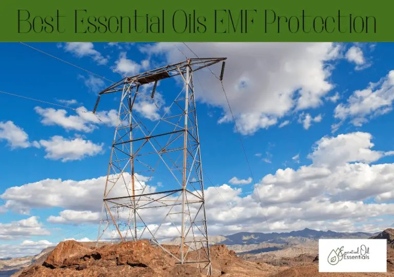 7 Essential Oils for EMF Protection in 2022