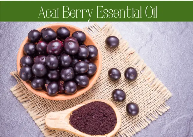 Acai Berry Essential Oil: Benefits and Uses