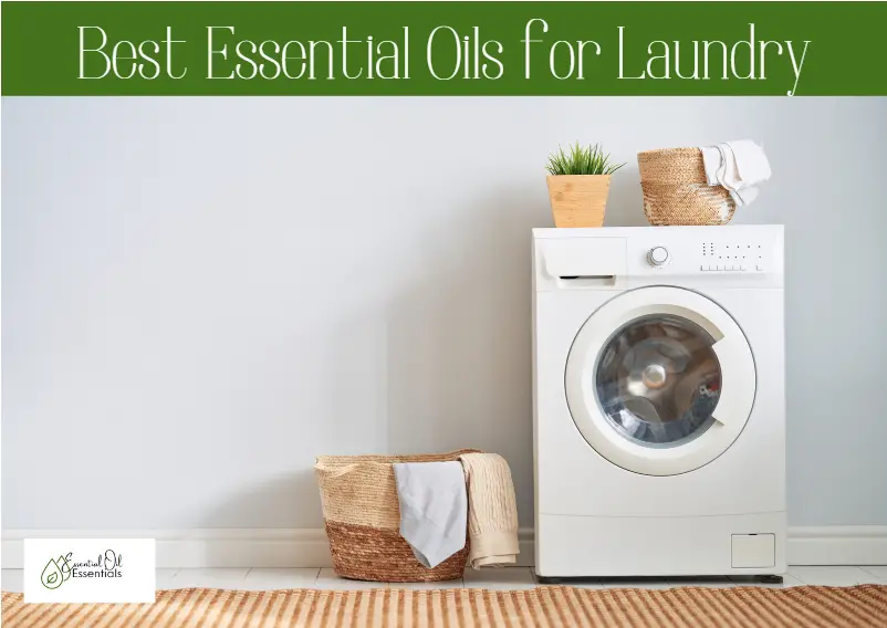 Best Essential Oil for Laundry - BigCityCleaners