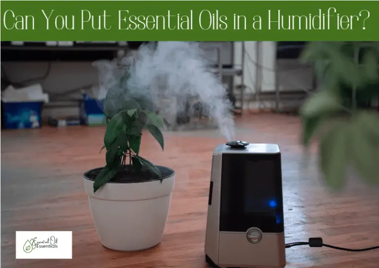 Can You Put Essential Oils in a Humidifier?