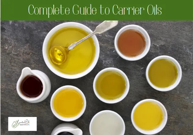 Complete Guide to Carrier Oils+FREE Printable Guide!