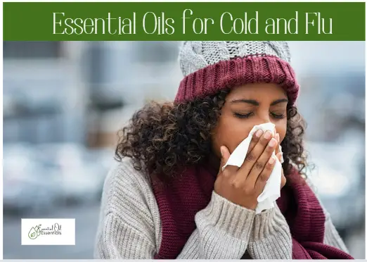 5 Best Essential Oils for Cold and Flu in 2022