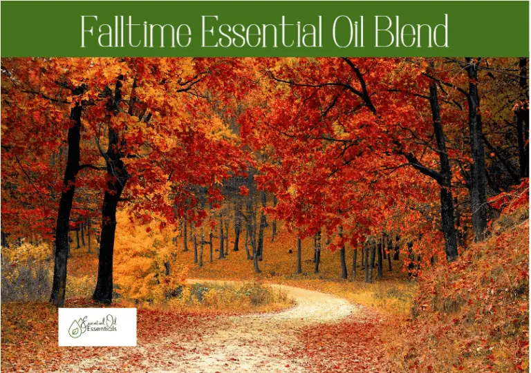 10 Falltime Essential Oil Blends for Your Diffuser